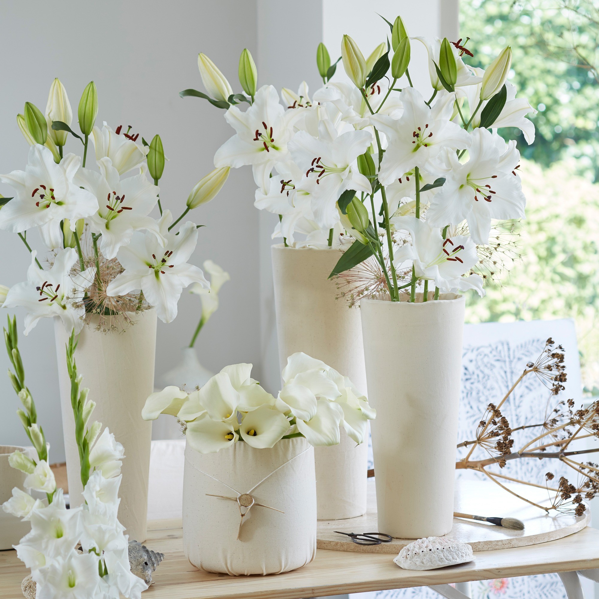 Lilium Oriental Casablanca (Lilium Oriental) 2x Spring Planting Flower ...