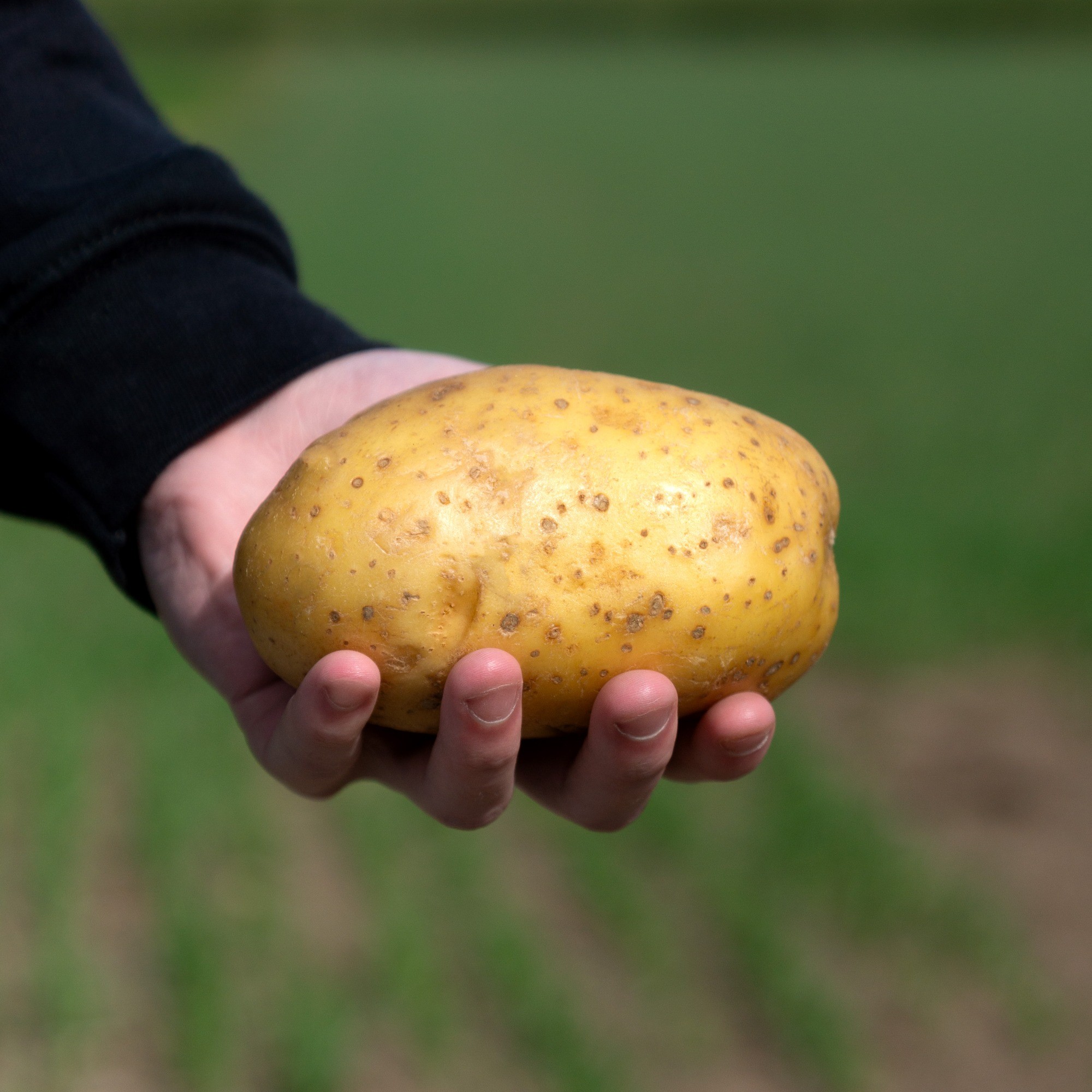 Melody Eating Potatoes | Bake, Boil, Chip, Mash & Roast