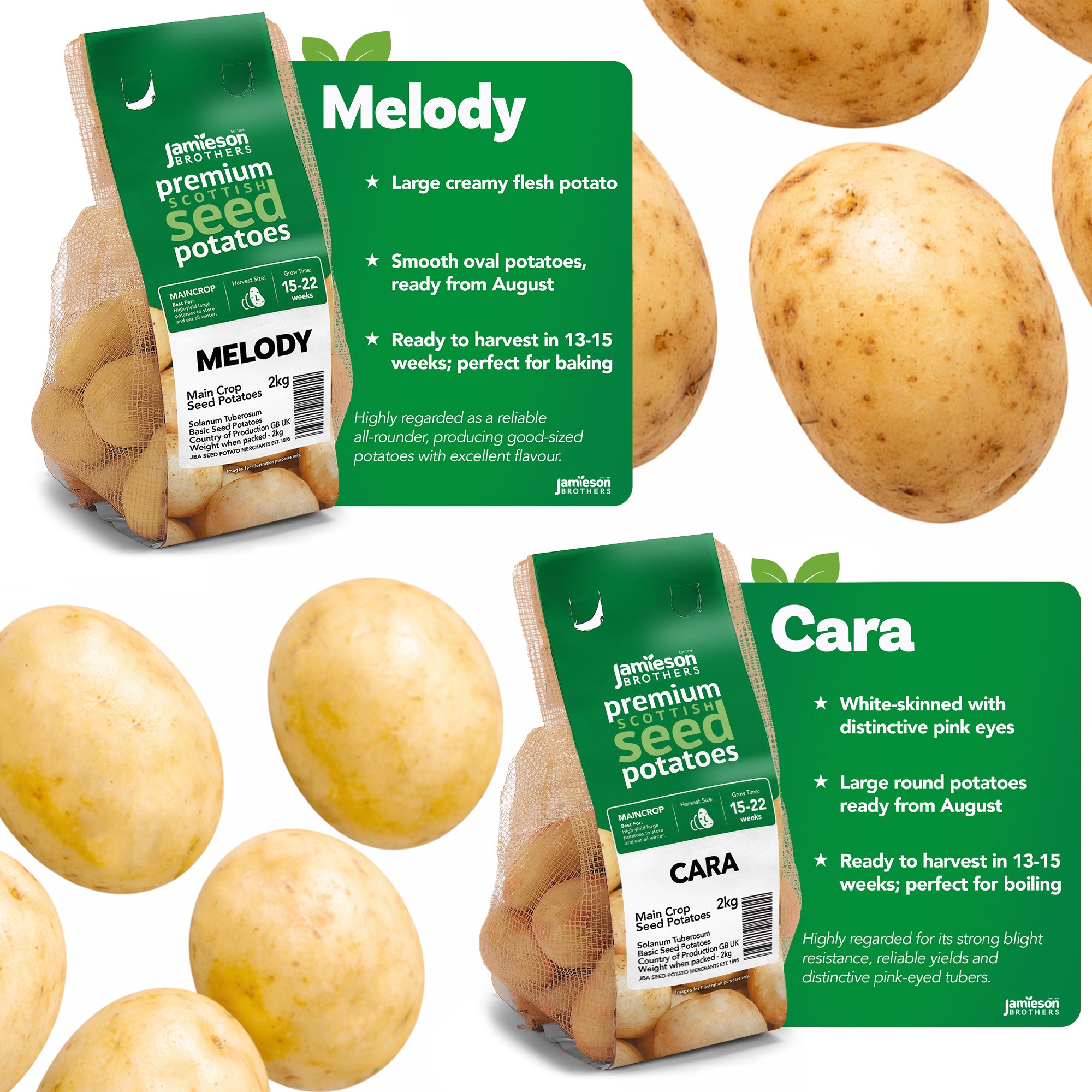 12kg Seed Potato Bundle – 6 Variety Collection (First Early