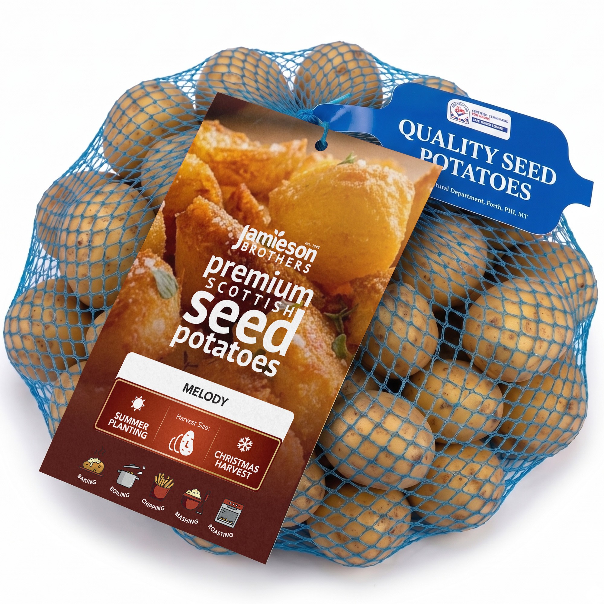 Melody Christmas Harvest Seed Potatoes 2kg Summer Planting Second