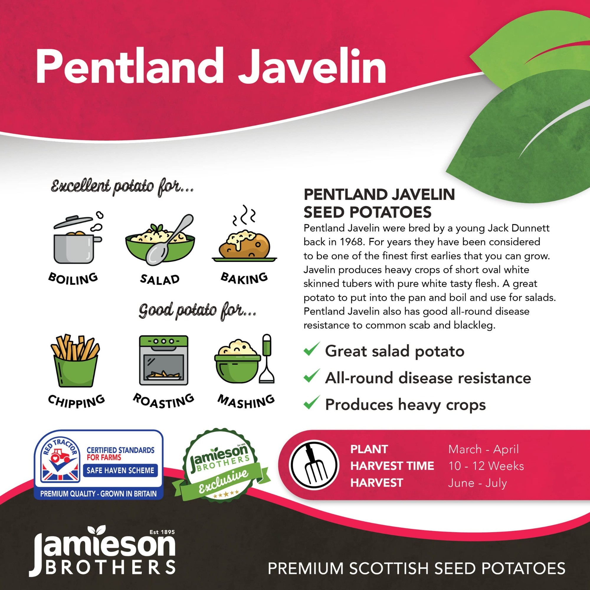 Pentland Javelin Seed Potatoes
