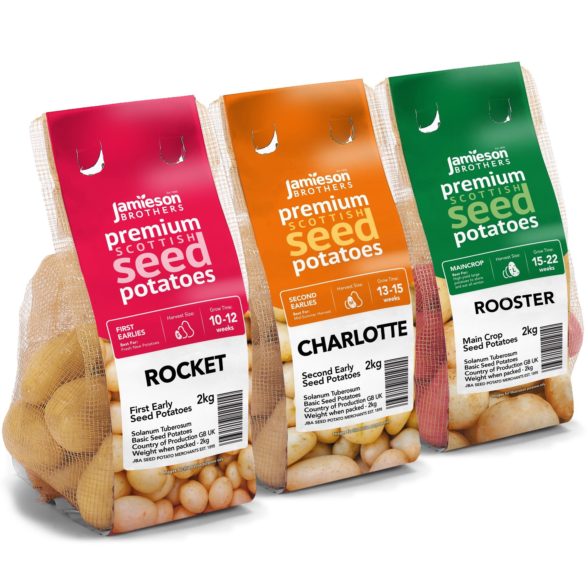 6kg Seed Potato Bundle (Charlotte, Rooster & Rocket)| High Yield