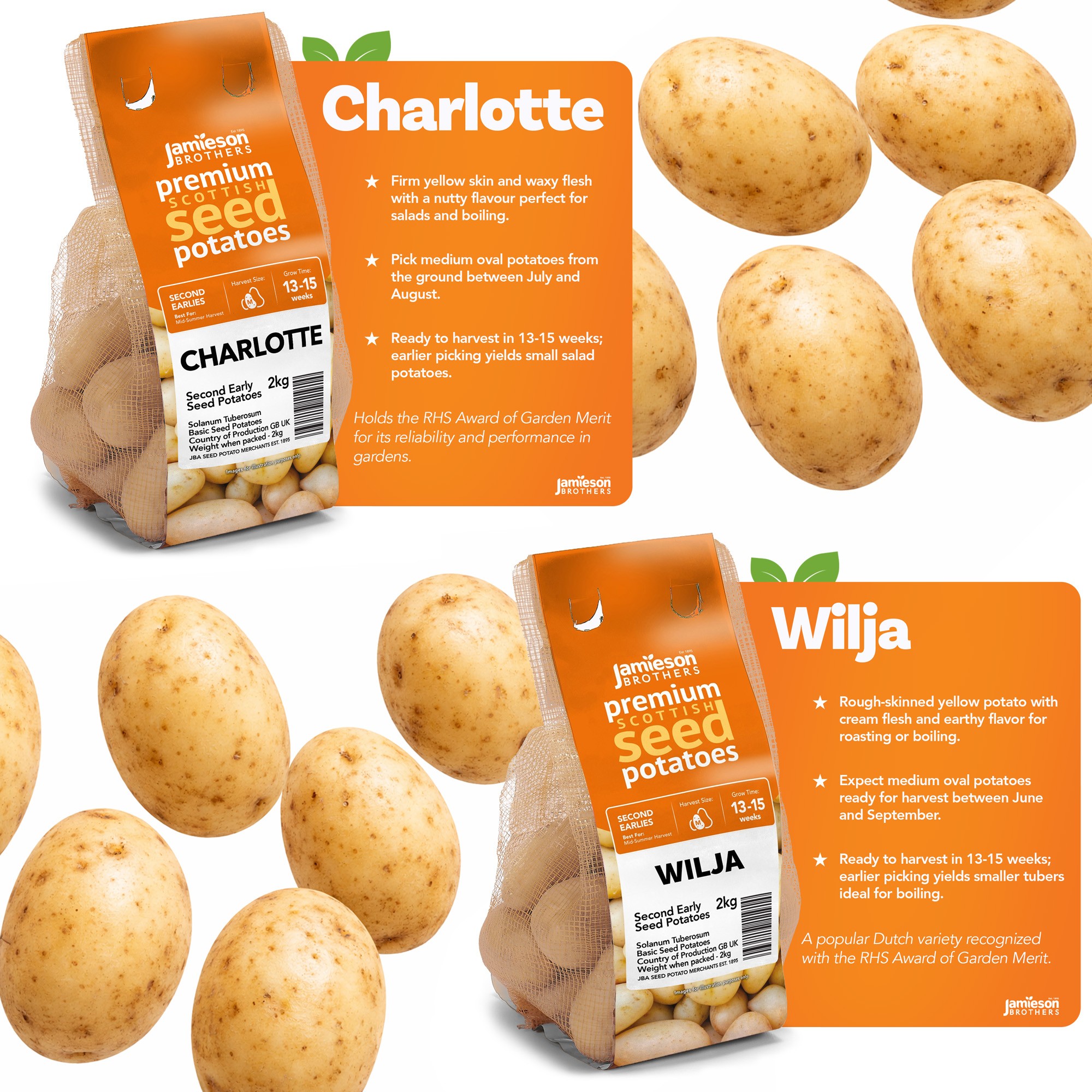 12kg Seed Potato Bundle – 6 Variety Collection (First Early