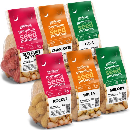 Seed Potato Bundle – 6 Varieties, 12kg Total (Red Duke of York, Rocket, Charlotte, Wilja, Cara & Melody) – First Early, Second Early & Maincrop Potatoes for a Full Season Harvest