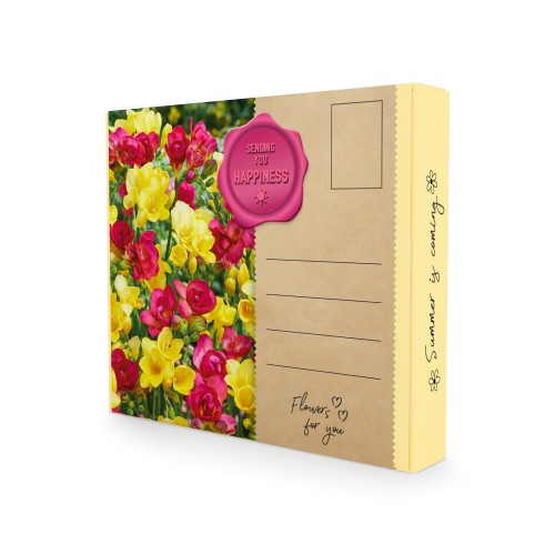 Postal Box - Sending You Happiness! (Freesia Hybrid, Freesia Hybrid) 30x Spring Planting Flower Bulbs| Flower Bulbs for Planting Now UK | Plant Garden Outdoor | Gifting Box | Present Box
