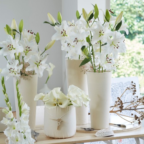 Lilium Oriental Casablanca (Lilium Oriental) 2x Spring Planting Flower Bulbs