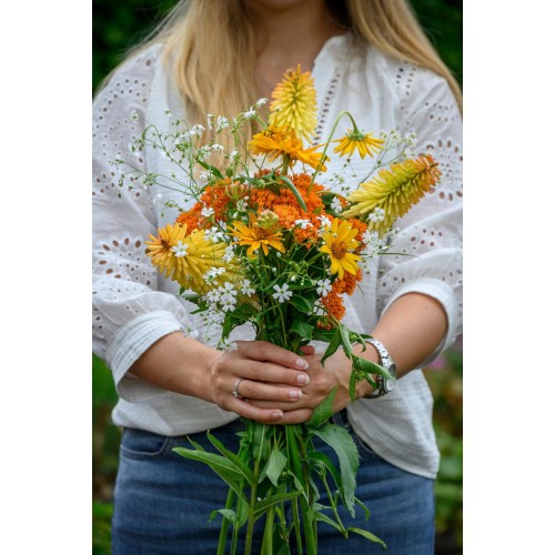 Kniphofia & Asclepias Mixed (2 Bulbs) and Wildflower 'Butterfly' Mix Seeds, Grow your own Bouquet by Jamieson Brothers