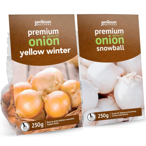 Yellow Winter and Snowball - Winter Onion sets (500g, Approx 100 Bulbs) 