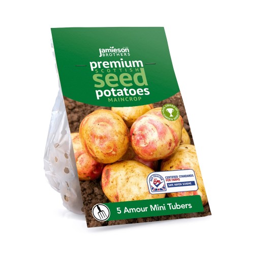 Amour Mini Tubers 5 Tuber Pack (20-30mm) - Maincrop Seed Potatoes By Jamieson Brothers