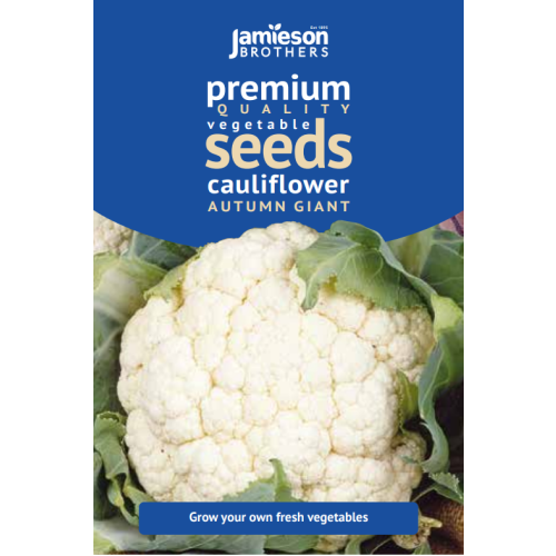 Cauliflower Autumn Giant Vegetable Seeds (Approx. 90 seeds) by Jamieson Brothers