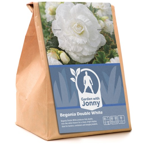 Begonia Double White (3 Bulbs)