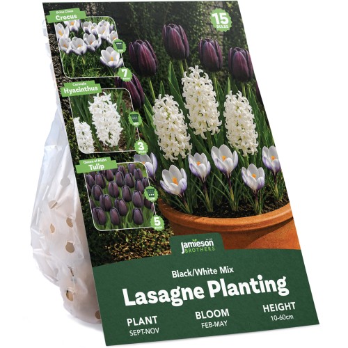 Black/White Spring Flowering Lasagne Bulb Planting Kit - Layered Perennial Flower Bulbs for Garden Pots & Containers, Mixed Tulips, Crocus & Hyacinths – by Jamieson Brothers