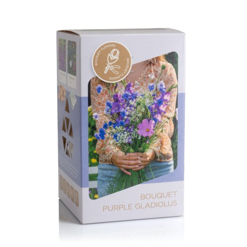 Bouquet Flowering - Purple Gladiolus Box (Dahlia Pinnata) 9x Spring Planting Flower Bulbs| Flower Bulbs for Planting Now UK | Plant Garden Outdoor