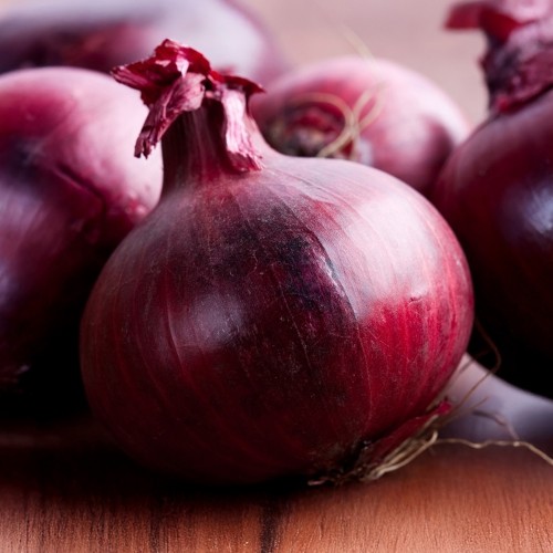Onion Red Braunschweiger (Allium Cepa) 250g Spring Planting Onion Bulbs| Vegetable Bulb for Planting Now UK | Plant Garden Outdoor | Jamieson Brothers