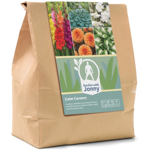 Garden with Jonny Calm Corners Bundle (Hosta Blue Cadet, Hosta Medio Variegata, Dahlia David Howard, Begonia Pendula White, and Gladiolus Mix)