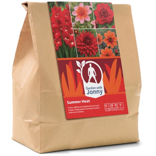 Garden with Jonny Summer Heat Bundle (Dahlia Totally Tangerine, Dahlia Bishop of Oxford, Dahlia Burning Love, Begonia Nonstop Red, and Gladiolus Traderhorn)