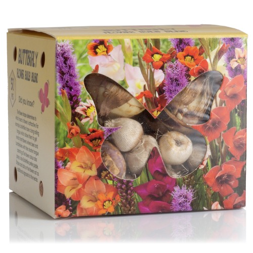 Butterfly Flower Bulb Box (Liatris Spicata, Gladiolus Hortulanus, Sparaxis Tricolor) 50x Spring Planting Flower Bulbs| Flower Bulbs for Planting Now UK | Plant Garden Outdoor | Attracts Butterflies & Pollinators