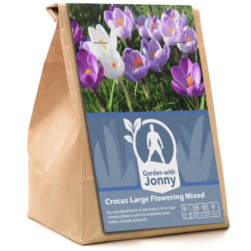 Garden With Jonny Crocus Large Flowering Mixed