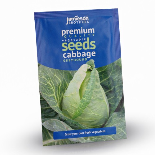 Cabbage Greyhound Vegetable Seeds (approx. 500 seeds) by Jamieson Brothers