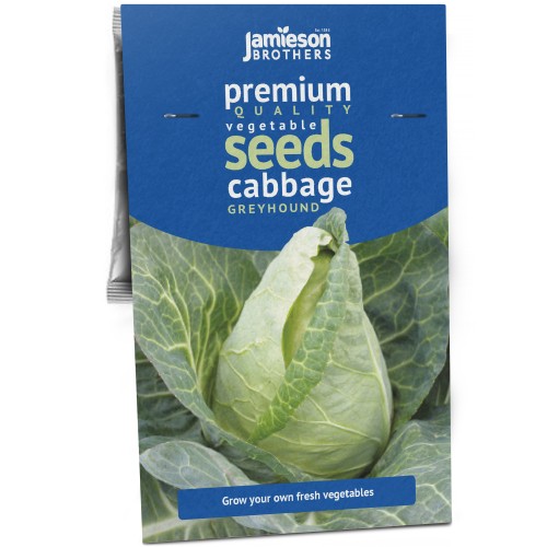 Cabbage Greyhound Vegetable Seeds (approx. 500 seeds) by Jamieson Brothers