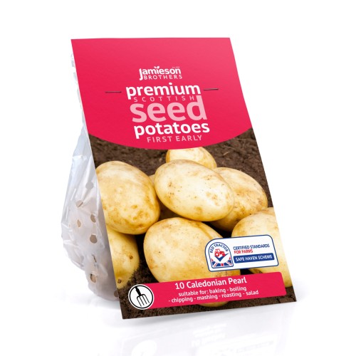 Caledonian Pearl Seed Potatoes - 10 tuber pack by Jamieson Brothers