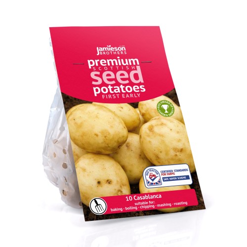 Jamieson Brothers® Casablanca - 10 tuber pack