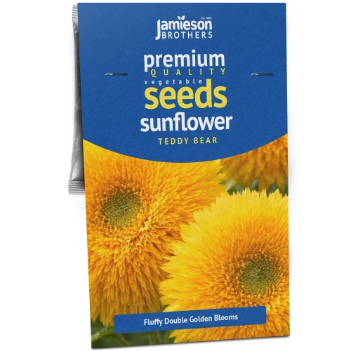Sunflower Teddy Bear – 60 Double Bloom Dwarf Sunflower Seeds