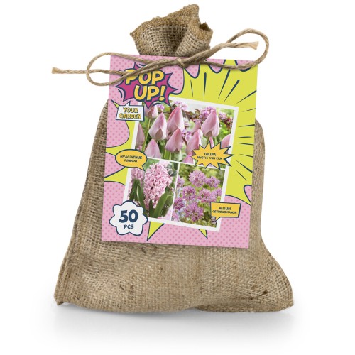 The Pink Bag (50 Bulbs) Tulipa Mystic van Eijk, Hyacinthus Fondant & Allium Ostrowskianum, Ready for Planting Now in UK Autumn Outdoor Gardens