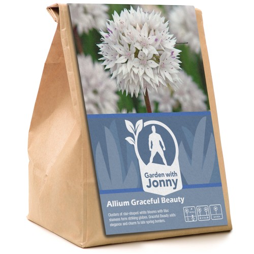 Garden with Jonny Allium Graceful Beauty 10 Bulbs
