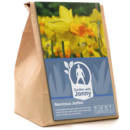 Garden with Jonny Narcissus Jetfire 10 Bulbs