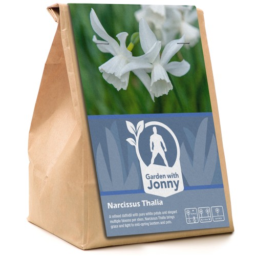 Garden with Jonny Narcissus Thalia 10 Bulbs