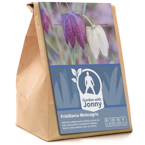 Garden with Jonny Fritillaria Meleagris 20 Bulbs