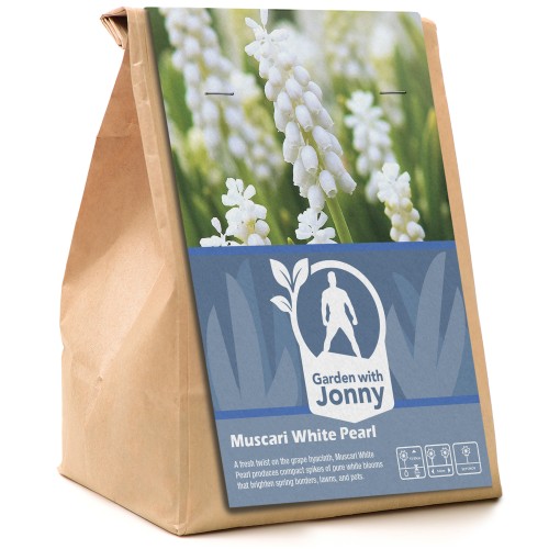 Garden with Jonny Muscari White Pearl 20 Bulbs