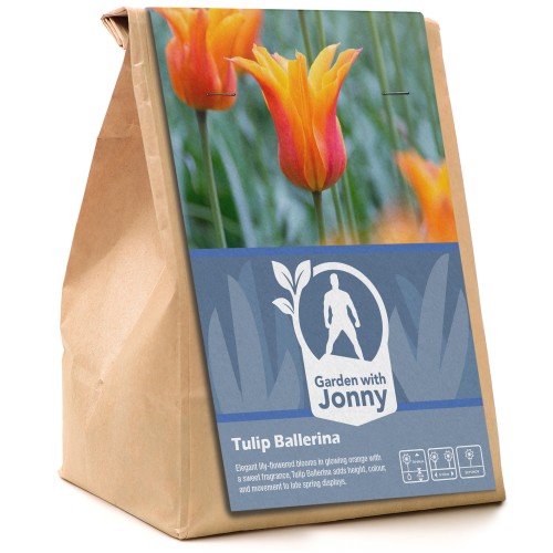 Garden with Jonny Tulip Ballerina 10 Bulbs