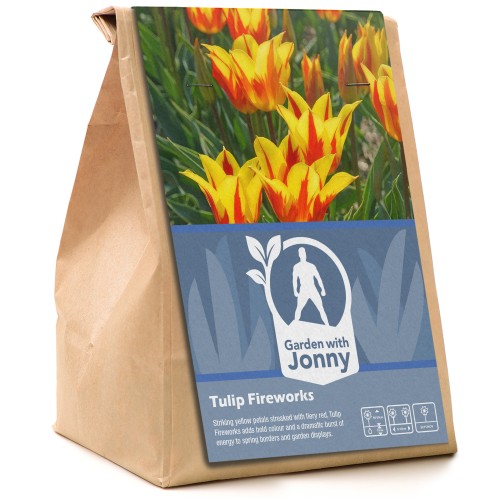 Garden with Jonny Tulip Fireworks 10 Bulbs