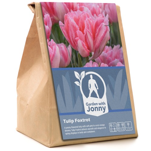 Garden with Jonny Tulip Foxy Foxtrot 10 Bulbs