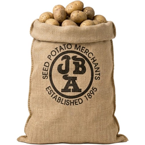 84x50cm Hessian Sack Large Strong Sturdy for Potato Storage, 25kg Jute Burlap Natural Durable by Jamieson Brothers