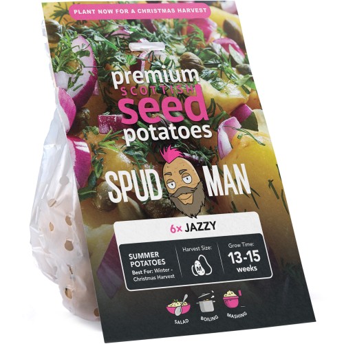 SpudMan Jazzy (6 Tubers) Christmas Harvest Seed Potatoes Summer Planting Second Cropping Plant Now UK, Grows Approx. 60 Salad Potatoes, by Jamieson Brothers