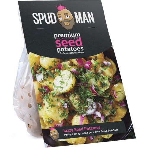 SpudMan Jazzy Seed Potatoes (Grow Salad Potatoes)
