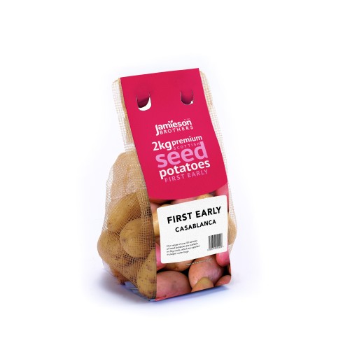 Casablanca Seed Potatoes - 2KG