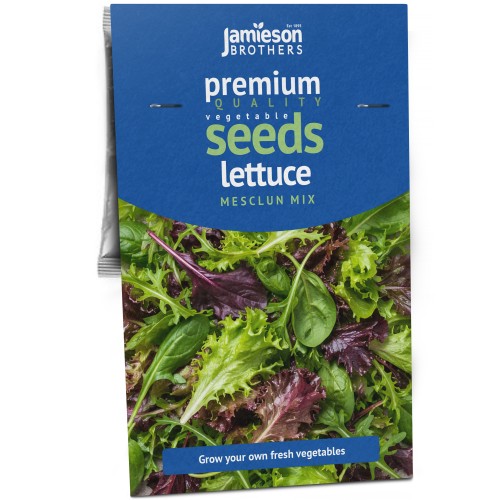 Lettuce Mixed Leaf Mesclun Mix – 1g Mixed Salad Leaf Seeds for Cut-and-Come-Again Harvests