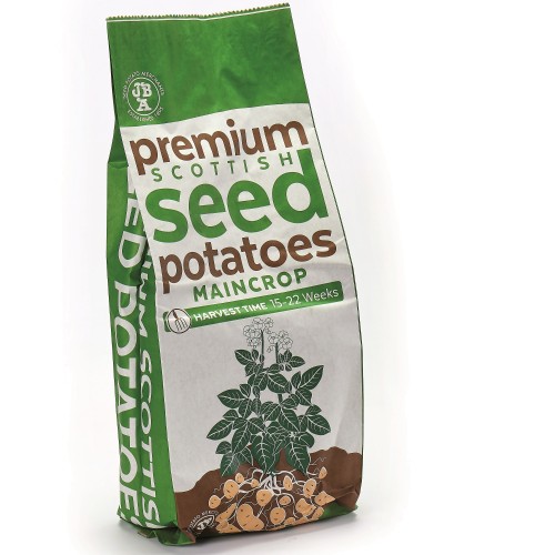 Setanta Seed Potatoes - 20KG