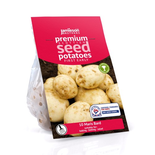 Jamieson Brothers® Maris Bard - 10 tuber pack