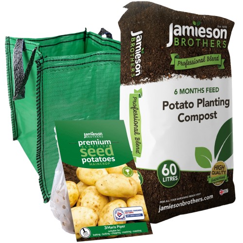 Maris Piper Grow Your Own Seed Potatoes Bundle - Kit Including 3 x Seed Potatoes, Potato Planting Compost & Planter Bag by Jamieson Brothers