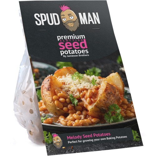 SpudMan Melody Seed Potatoes (Grow Baking Potatoes)