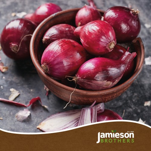 Winter Onion Sets Twin Pack 2x250gm (Radar and Red Winter) by Jamieson