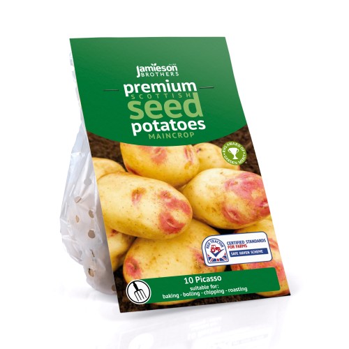 Jamieson Brothers® Picasso - 10 tuber pack