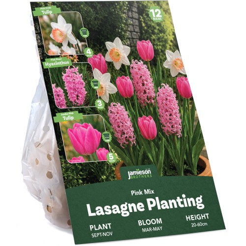 Pink Spring Flowering Lasagne Bulb Planting Kit - Layered Perennial Flower Bulbs for Garden Pots & Containers, Mixed Tulips, Daffodils & Hyacinths – by Jamieson Brothers