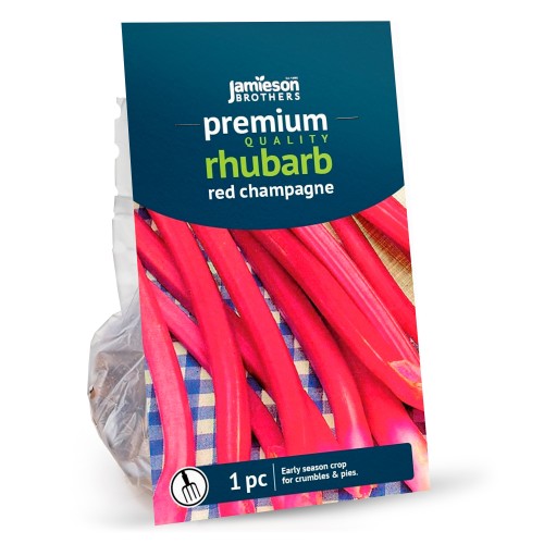 Jamieson Brothers® Red Champagne Rhubarb - 2 crown