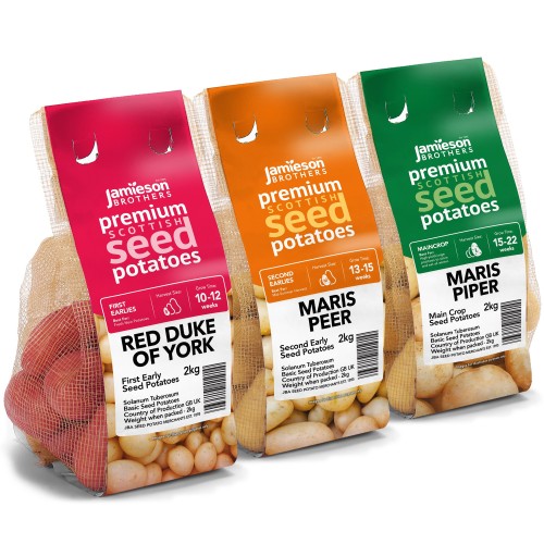 6kg Seed Potato Bundle (Red Duke of York, Maris Peer & Maris Piper) Easy to Grow & High Yielding Varieties Perfect for All Uses